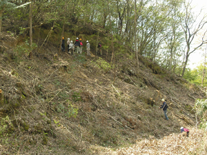 Field Practice in Geological Survey