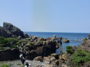 Field Excursion of Geology I