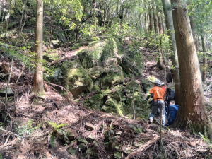 Research in Field Earth Science